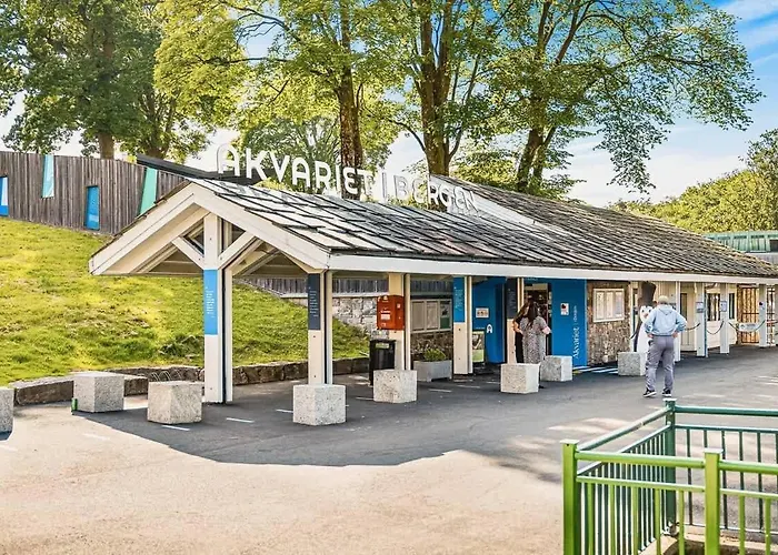 Dinbnb L Free Parking L 5 Min From Torget L Nearby Coast I Newly Furnished Apartment Bergen